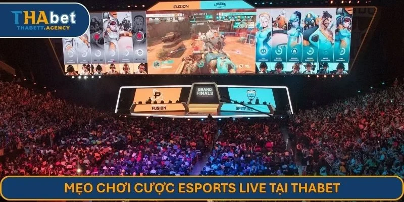 Mẹo chơi cược Esports live tại THABET